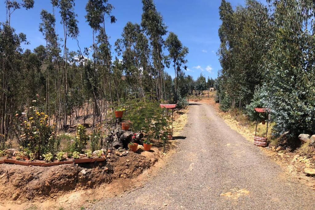 Cabana Buenavista Es Un Lugar Para Descansar. Iza Zewnętrze zdjęcie